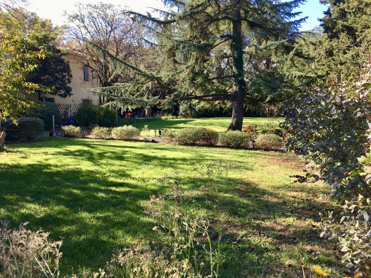 Gites Avec Piscine Et Jacuzzi Au Mas De Cadoule Saint-Just  Zimmer foto